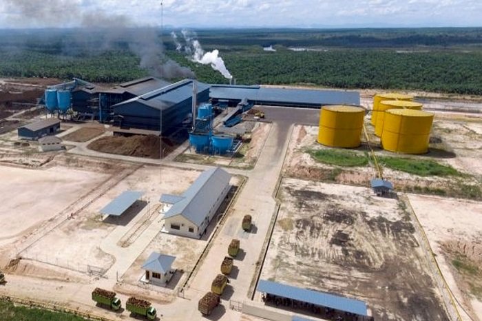Perkebunan sawit PGUN di Kalimantan Selatan, pusat produksi utama yang menopang lonjakan laba semester I 2025. (Dok. pradiksi.co.id)