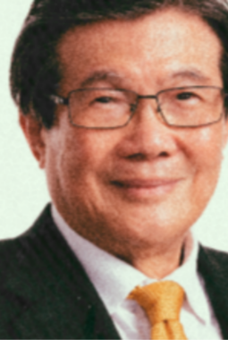 BRPT dan Ambisi Hijau Prajogo Pangestu, Strategi Besar di Tengah Risiko