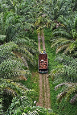 Komisaris dan Bankir Terseret Skandal Kredit BNI Rp 105 Miliar