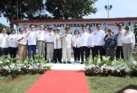 BRI hadir di Program Sapi Merah Putih! Ini bukti komitmen BRI untuk mendukung swasembada pangan dan perkuat peternak lokal di Indonesia. (Dok. BRI)