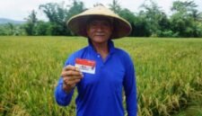 Selamat Hari Tani Nasional! BRI bangga menjadi mitra strategis petani Indonesia. Kami akan terus dukung sektor pertanian melalui berbagai program. (Dok. BRI)
