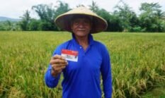 Hari Tani, BRI Perkuat Dukungan untuk Sektor Pertanian