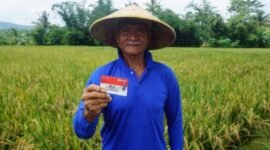 Selamat Hari Tani Nasional! BRI bangga menjadi mitra strategis petani Indonesia. Kami akan terus dukung sektor pertanian melalui berbagai program. (Dok. BRI)