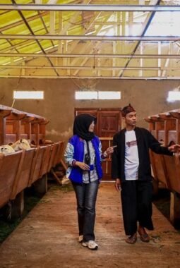 Dorong Ekonomi Kerakyatan Bergeliat, BRI Salurkan KUR Rp114,28 Triliun kepada 2,5 juta Debitur UMKM Hingga Agustus 2025