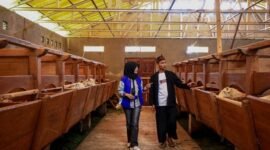 BRI Salurkan KUR Rp114,28 Triliun kepada 2,5 juta Debitur UMKM Hingga Agustus 2025. (Dok. Bank BRI)